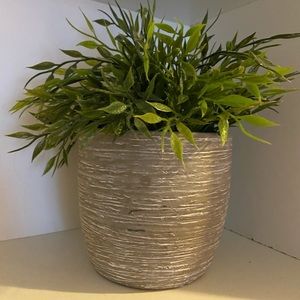 Plant with textured pot 🍃